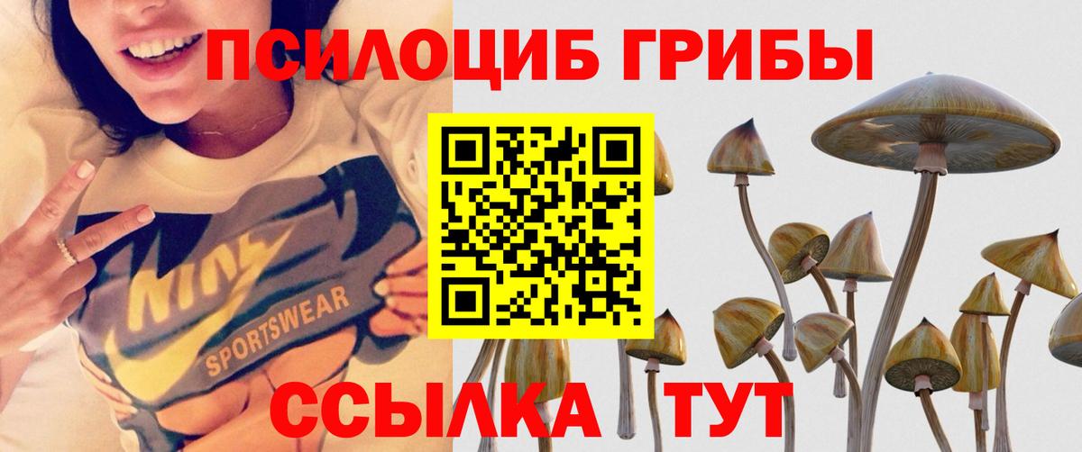 Псилоцибиновые грибы Psilocybine cubensis  Вход с VPN  Муром 